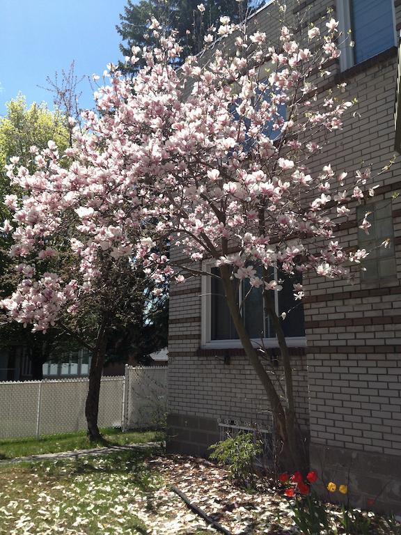 Magnolia B&B Granby Εξωτερικό φωτογραφία